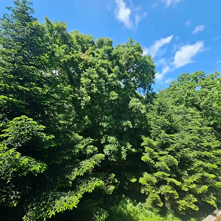 Europroperties Iglika * Zlate písky