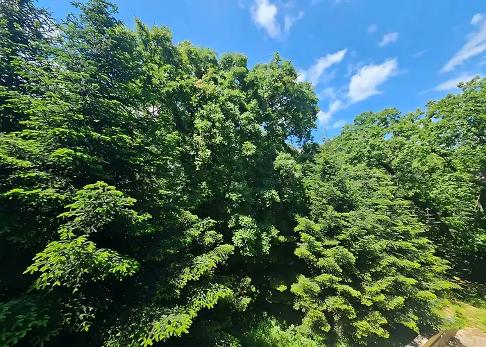 Europroperties Iglika * ゴールデンサンド